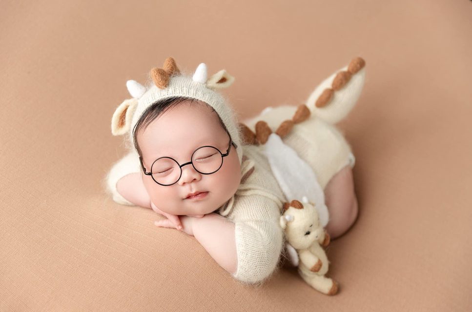 Khủng Long Con Có Cánh — ảnh sơ sinh tại Thúy Tô Studio, Vinhomes Ocean Park 2